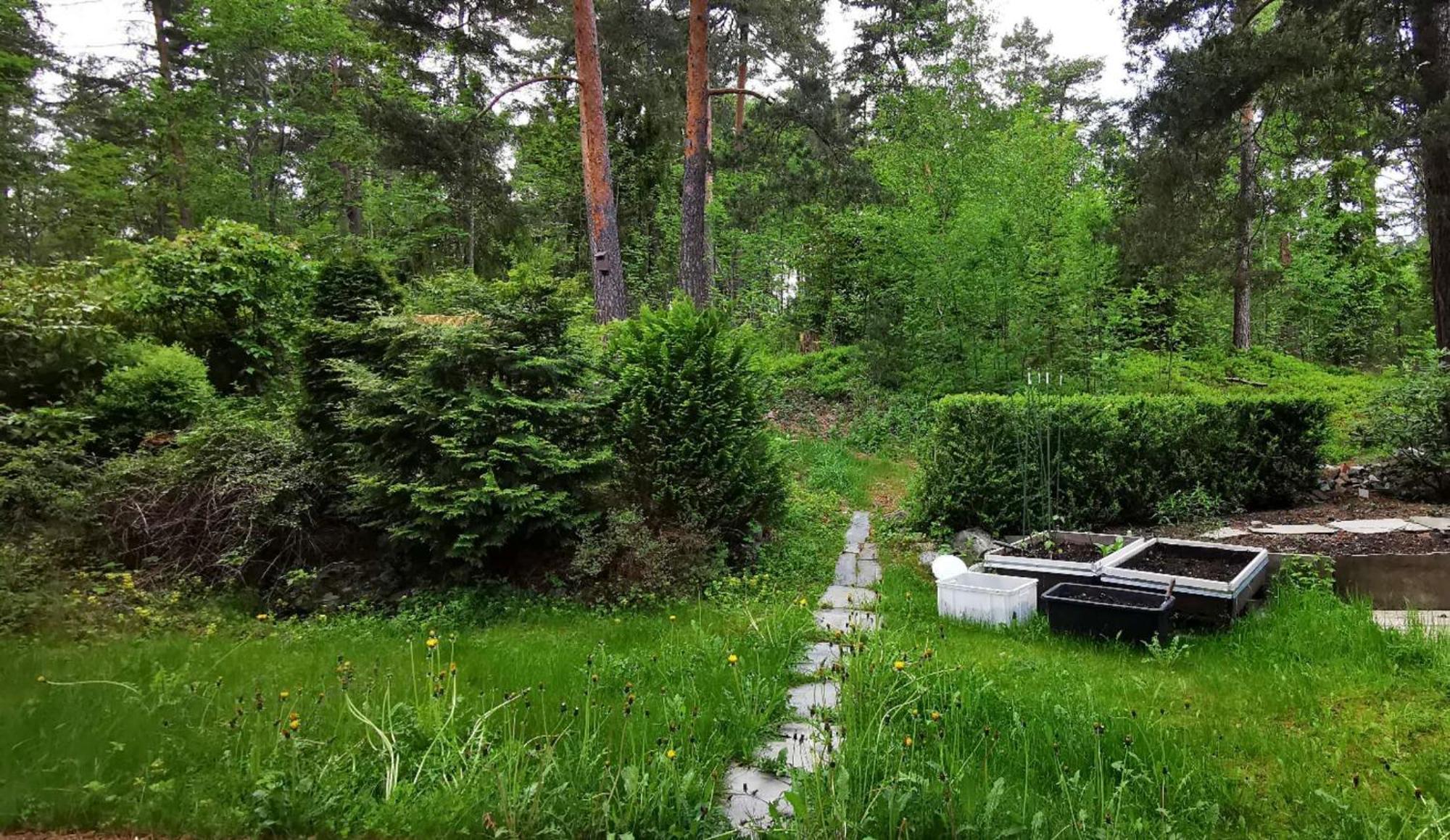 Апартаменти Holmenkollen Forest House Free Parking Осло Екстер'єр фото