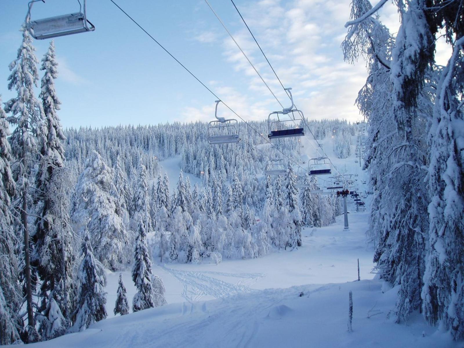 Апартаменти Holmenkollen Forest House Free Parking Осло Екстер'єр фото