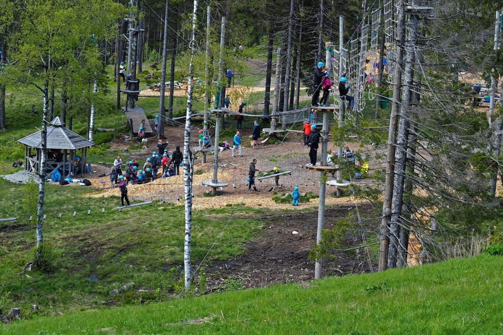Апартаменти Holmenkollen Forest House Free Parking Осло Екстер'єр фото