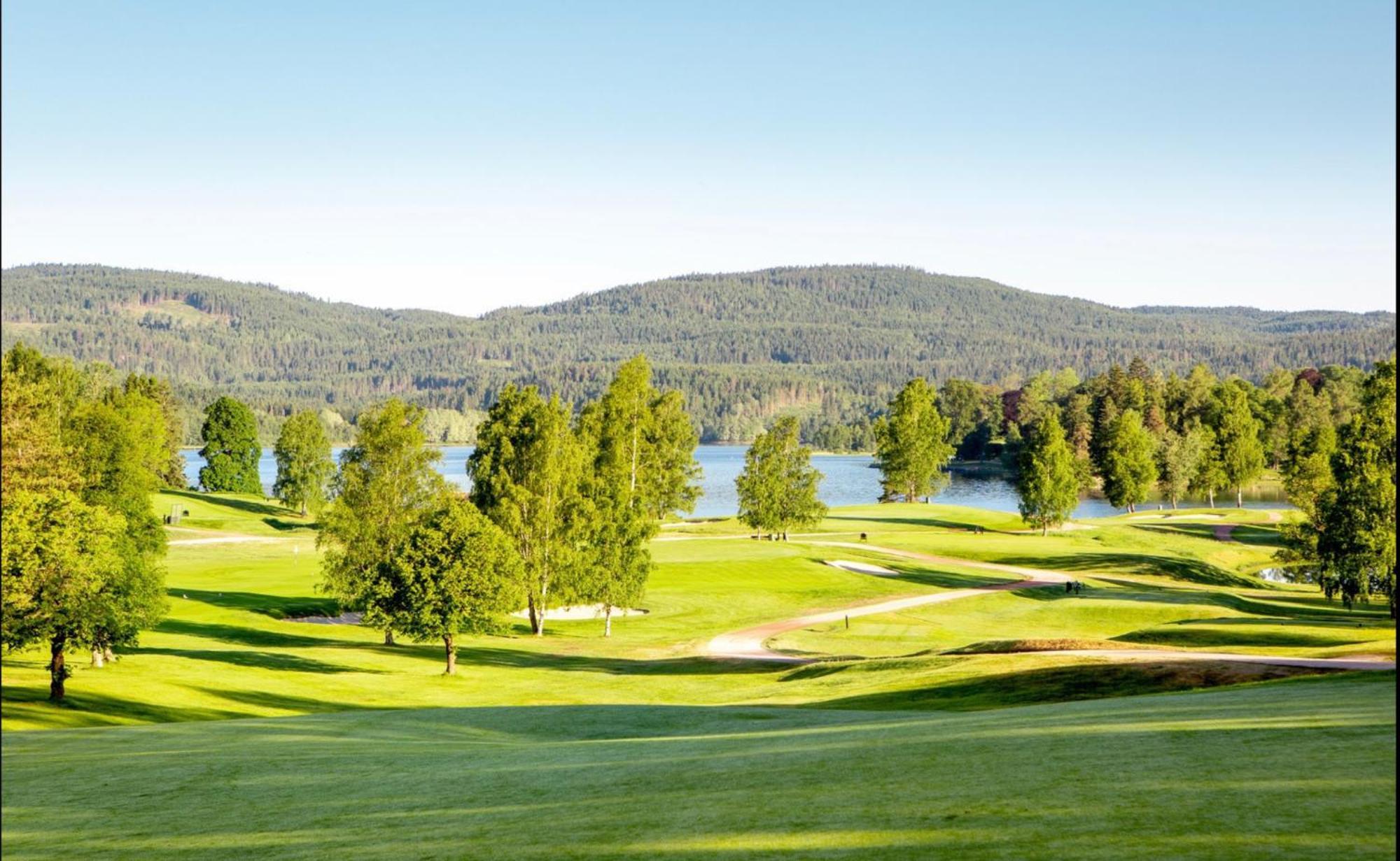Апартаменти Holmenkollen Forest House Free Parking Осло Екстер'єр фото